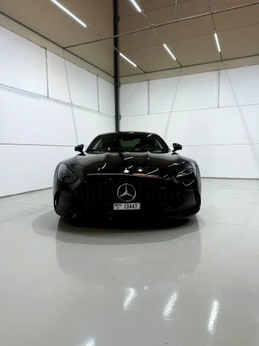 AMG GT 4-Door Coupe preview